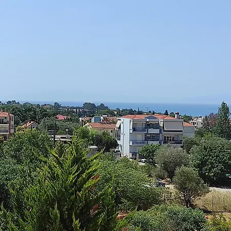 Oasis *
