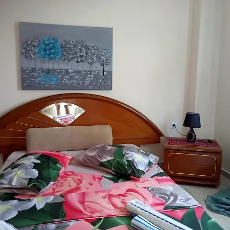 Oasis Nea Michaniona